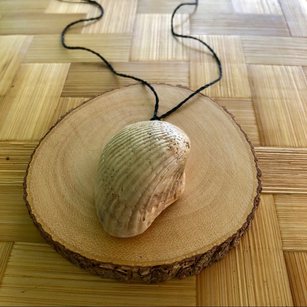 Shell necklace #212